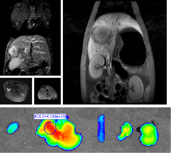 640 (2).png 640 (2).png