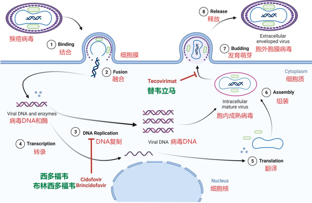 640 (2).png 640 (2).png